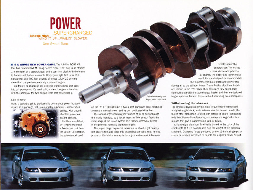 2003 Cobra Terminator Brochure