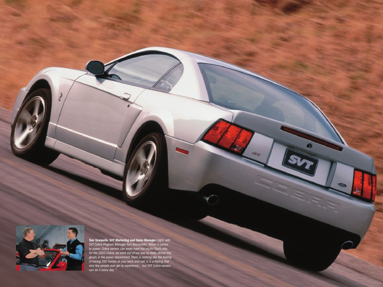 2003 Cobra Terminator Brochure