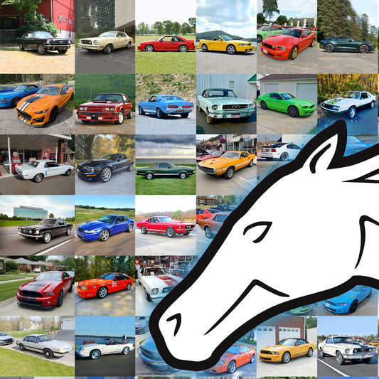 Mustang 60 Years Poster