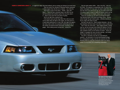 2003 Cobra Terminator Brochure
